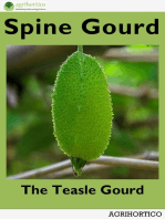 Spine Gourd: The Teasle Gourd