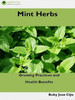 Mint Herbs