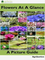 Flowers at a Glance