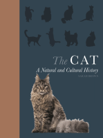 The Cat