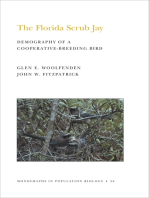 The Florida Scrub Jay (MPB-20), Volume 20