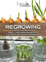 Regrowing: Neue Triebe aus Obst- und Gemüseresten