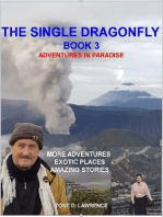 The Single Dragonfly Book 3 - Adventures in Paradise