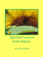 Spiritual Lessons from Nature