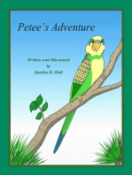 Petee's Adventure