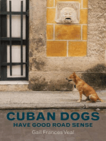 Cuban dogs have good road sense