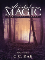 Hidden Magic: The Portal Opens