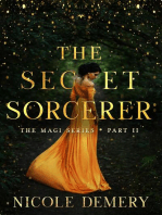 The Secret Sorcerer: The Magi Series, #2