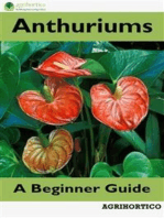 Anthuriums