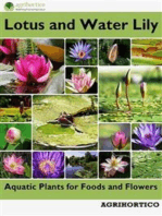 Lotus and Water Lily: Aquatic Plants for Foods and Flowers