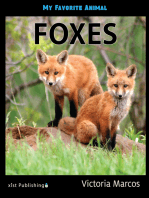 My Favorite Animal: Foxes