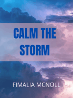 Calm the Storm (Christian Motivation)