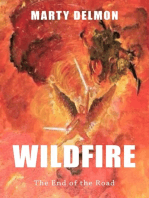 Wildfire: The End of the Road