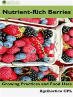 Nutrient-Rich Berries: Growing Practices and Food Uses