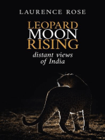 Leopard Moon Rising
