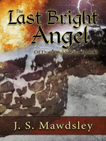 The Last Bright Angel