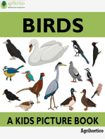 Birds: A Picture Guide