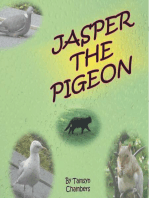 Jasper The Pigeon