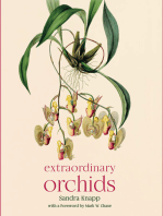 Extraordinary Orchids