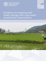 Guidance on Realizing Real Water Savings with Crop Water Productivity Interventions