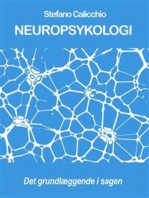 NEUROPSYKOLOGI: det grundlæggende i sagen