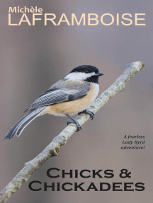 Chicks & Chickadees: Bold and Birding