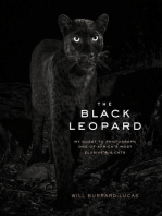 The Black Leopard: My Quest to Photograph One of Africa's Most Elusive Big Cats