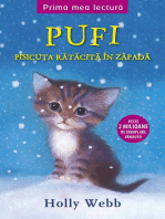 Pufi. Pisicuța rătăcită în zăpadă