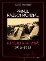 Primul Război Mondial - 08 - Revolta Araba 1916-1918