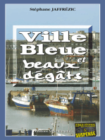 Ville bleue et beaux-dégâts: Les enquêtes de Maxime Moreau - Tome 2