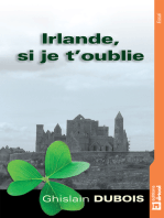 Irlande, si je t'oublie: Invitation au voyage