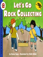 Let's Go Rock Collecting