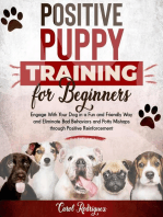 Positive Puppy Training for Beginners