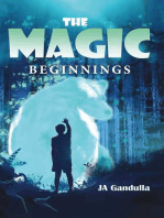 The Magic: Beginnings