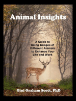 Animal insights: Using Animal Images to Enhance Your Life