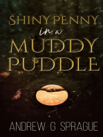 Shiny Penny in a Muddy Puddle