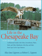 Life in the Chesapeake Bay: An Illustrated Guide to the Fishes, Invertebrates, Plants, Birds, and Other Inhabitants of the Bays and Inlets from Cape Cod to Cape Hatteras