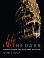 Life in the Dark