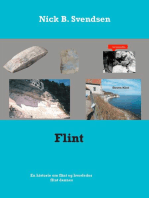 Flint: En historie om flint og hvorledes flint dannes.
