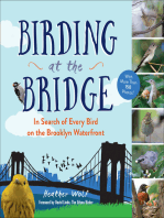 Birding at the Bridge