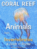 Coral Reef Animals Book 1