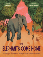 The Elephants Come Home