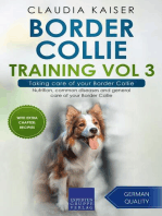 Border Collie Training Vol 3 – Taking care of your Border Collie: Nutrition, common diseases and general care of your Border Collie: Border Collie Training, #3