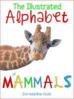The Illustrated Alphabet of Mammals