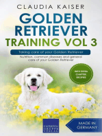 Golden Retriever Training Vol 3 – Taking care of your Golden Retriever