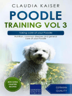 Poodle Training Vol 3 – Taking care of your Poodle