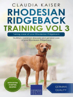 Rhodesian Ridgeback Training Vol 3 – Taking care of your Rhodesian Ridgeback