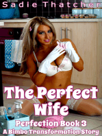 The Perfect Wife