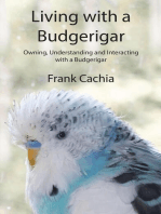 Living with a Budgerigar: Owning, Understanding and Interacting with a Budgerigar