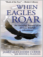 When Eagles Roar